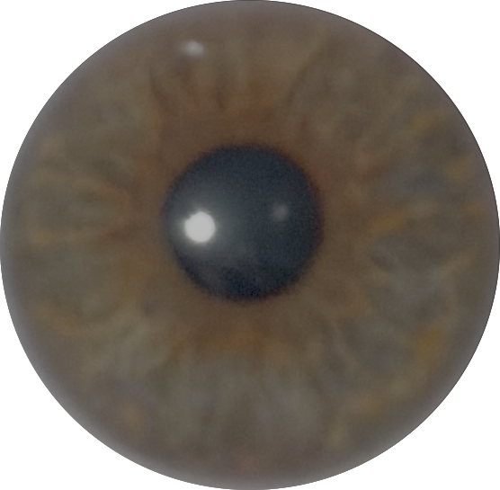 All the eyes