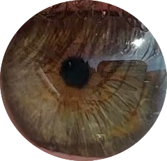 These are my eyes now