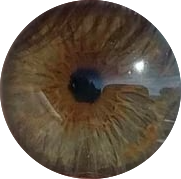 These are my eyes now