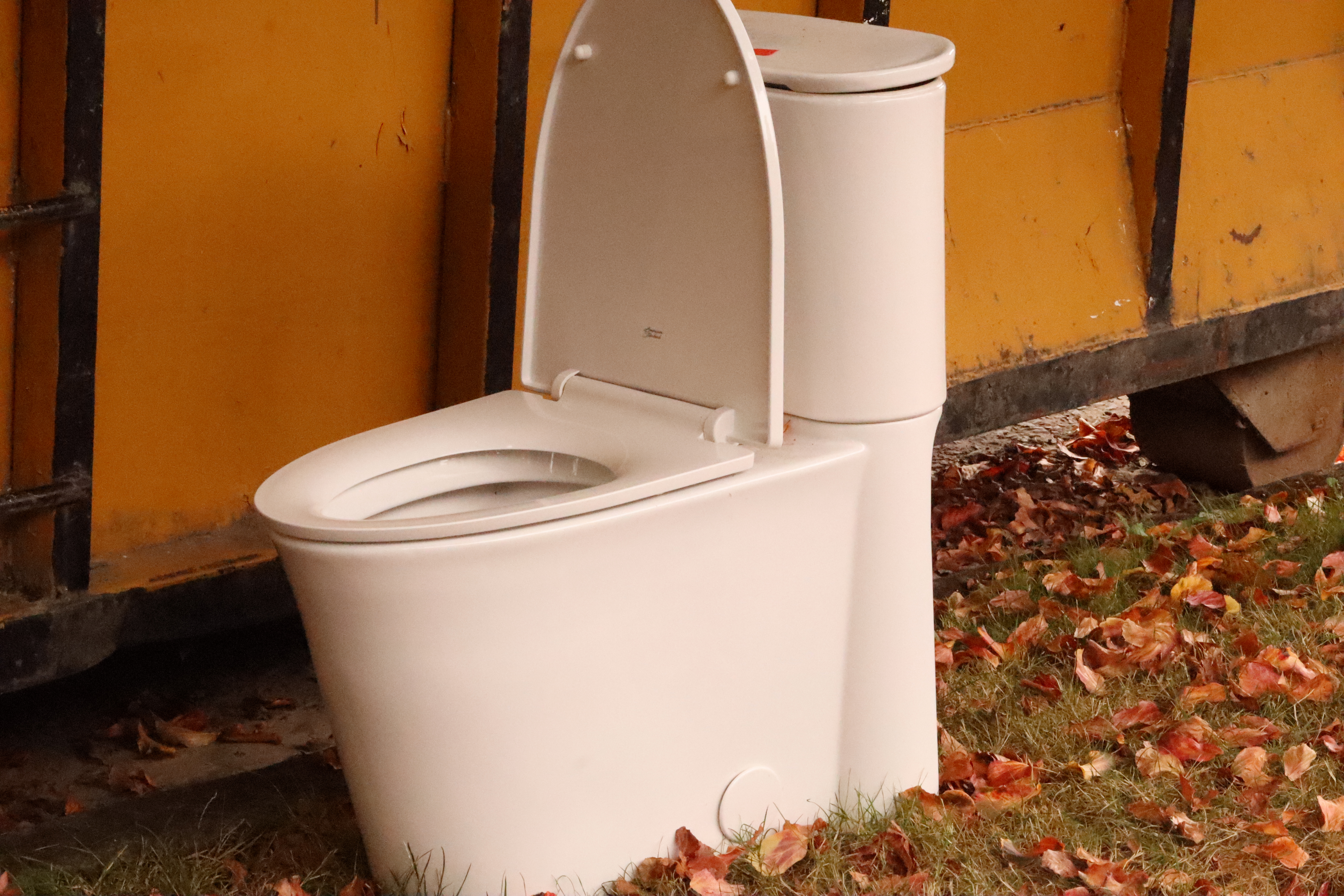 toilet-time